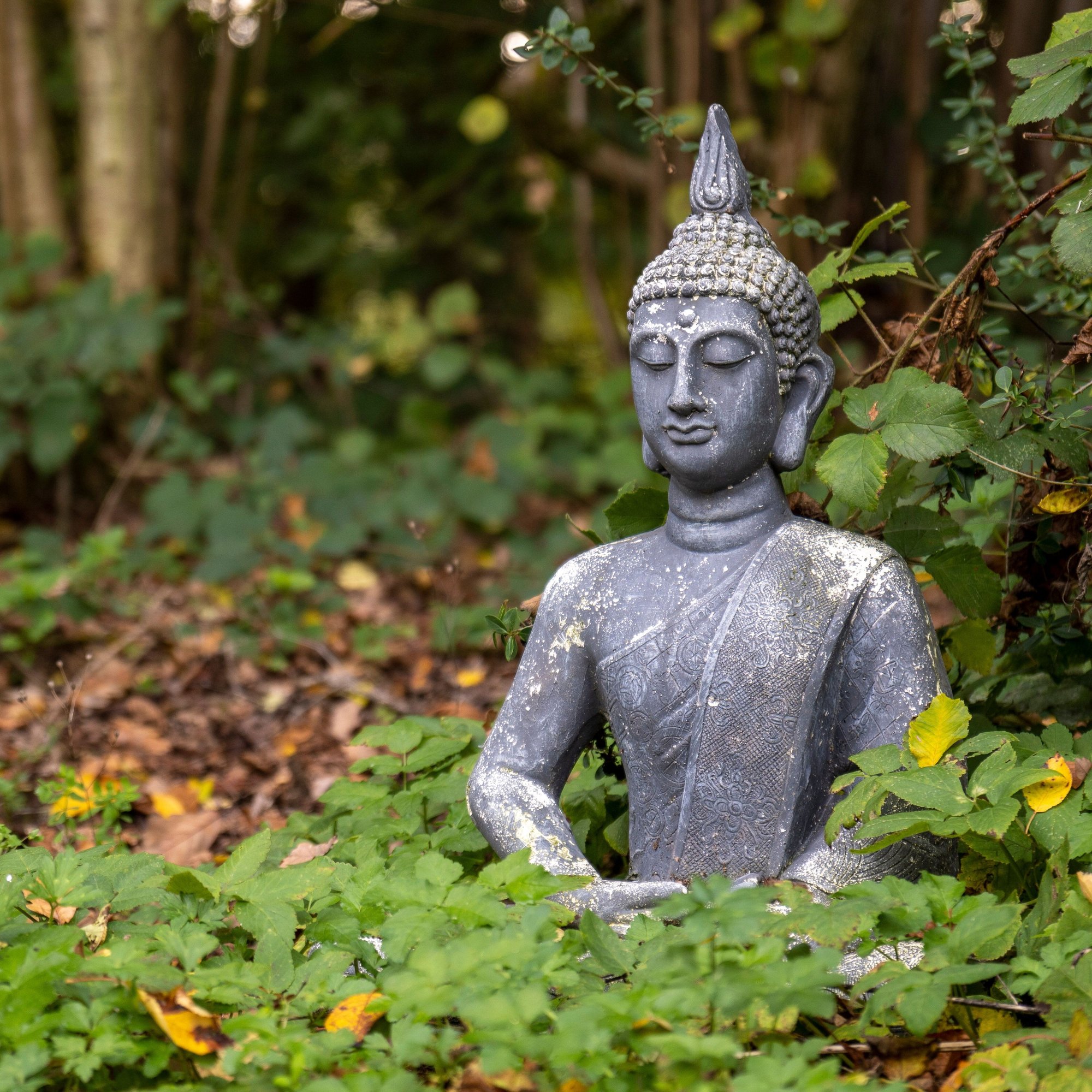 Buddha statue in vegetation edited