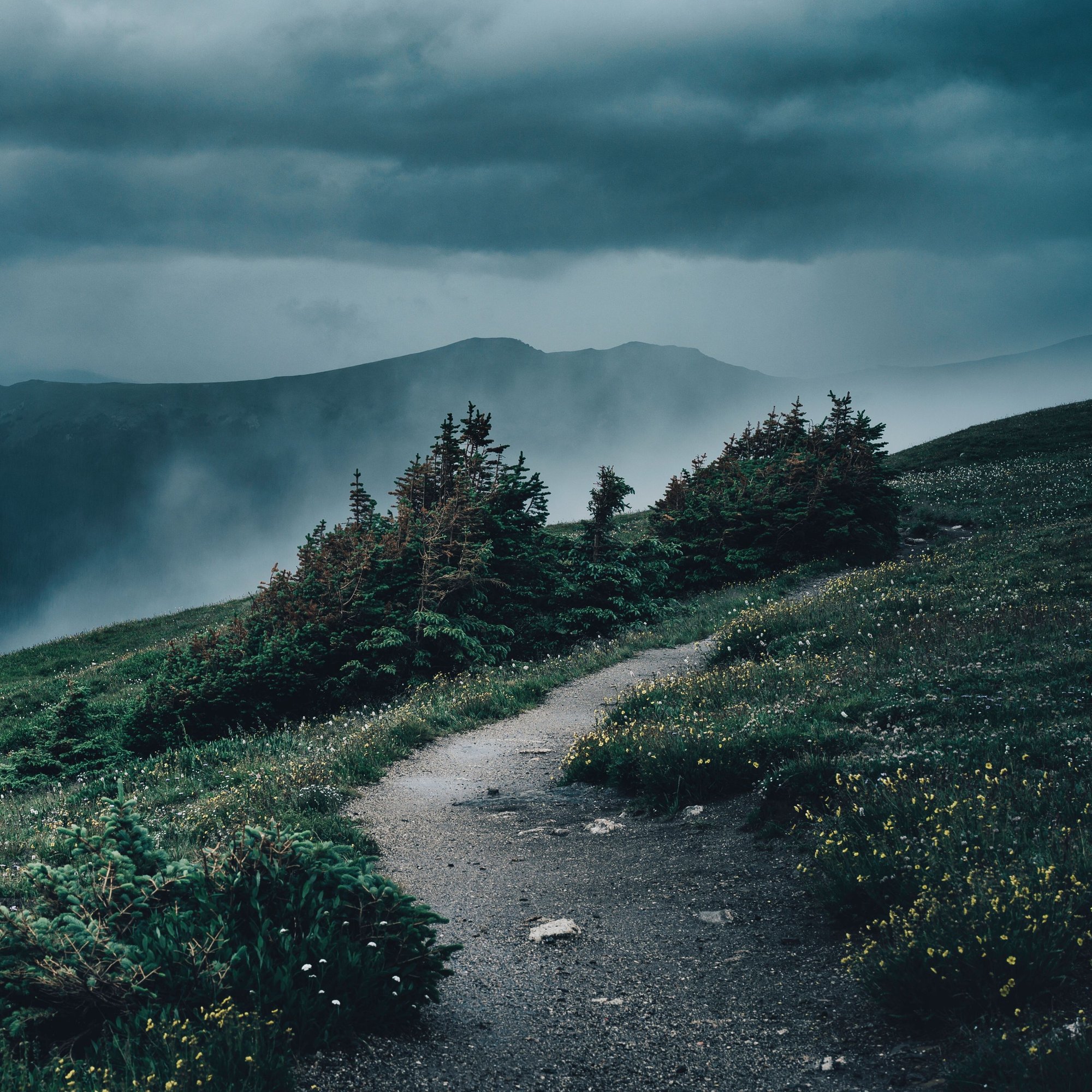 Path in the storm cropped