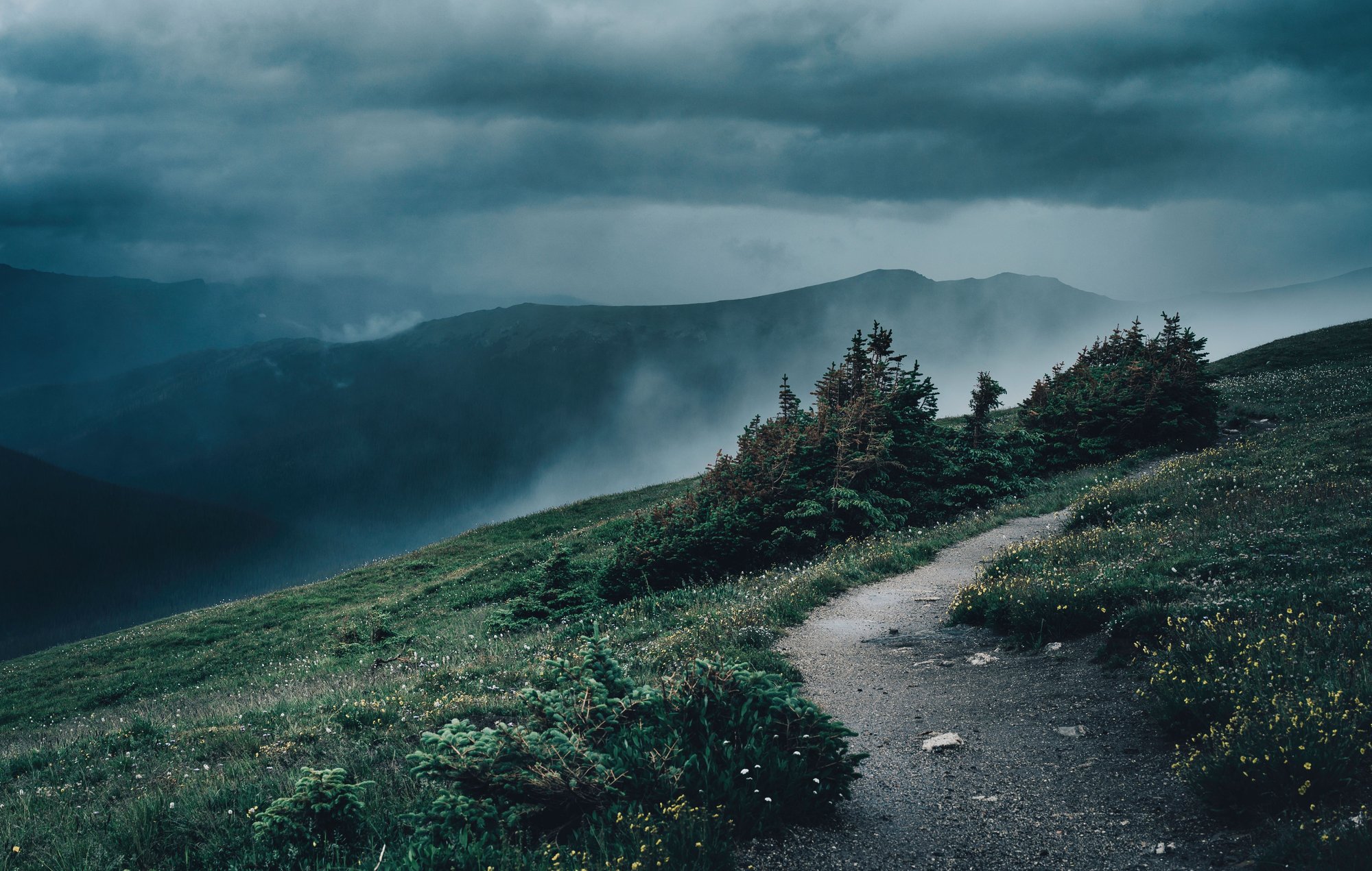 Path in the storm