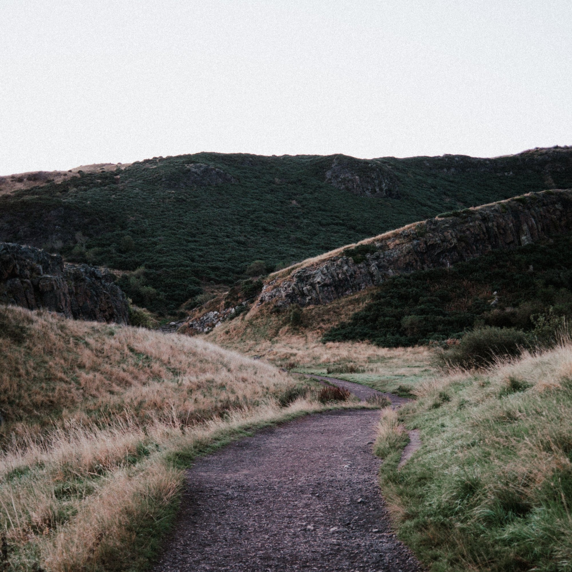 landscape path 2-1