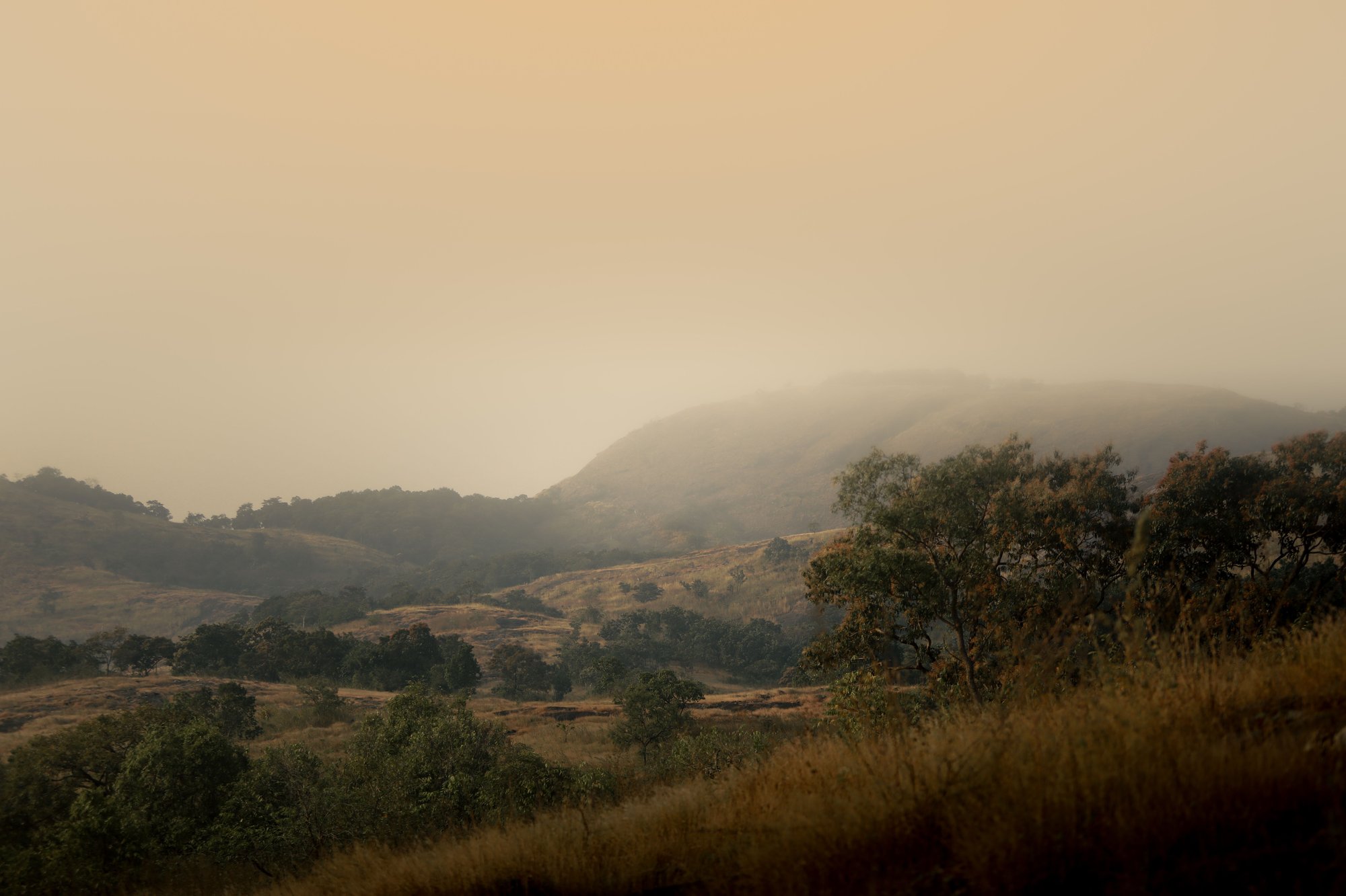 landscape landscape